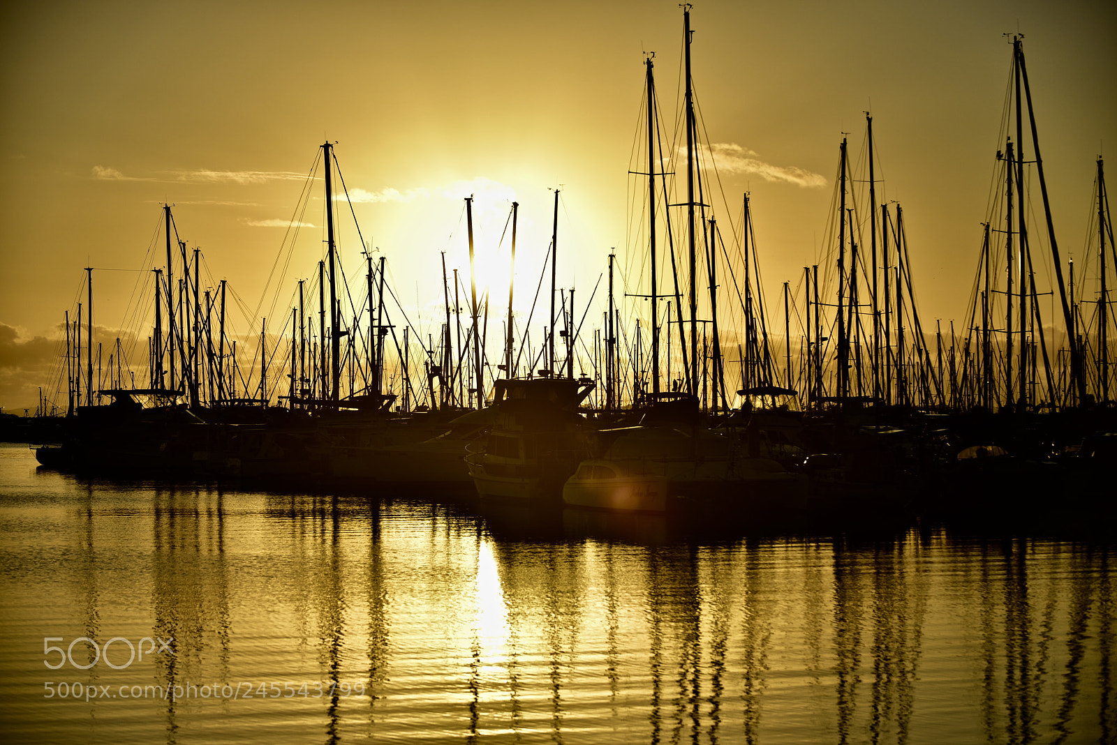 Nikon D810 sample photo. Masts in the morning photography