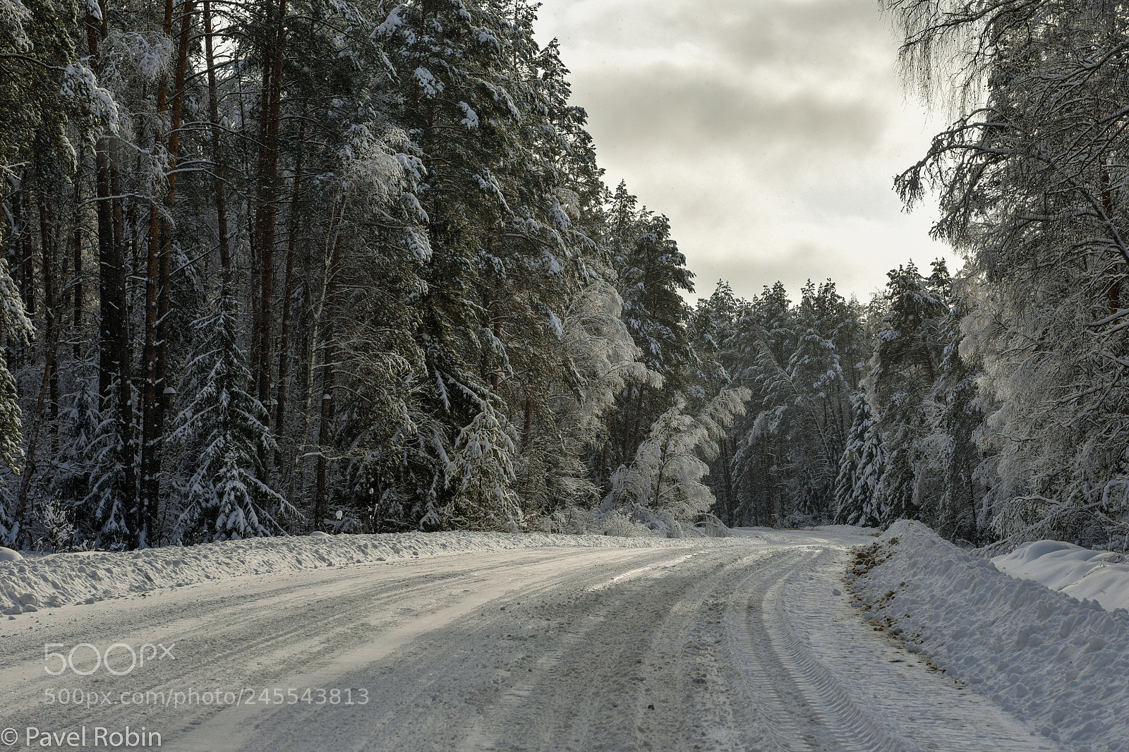 Nikon D810 sample photo. Winter road photography