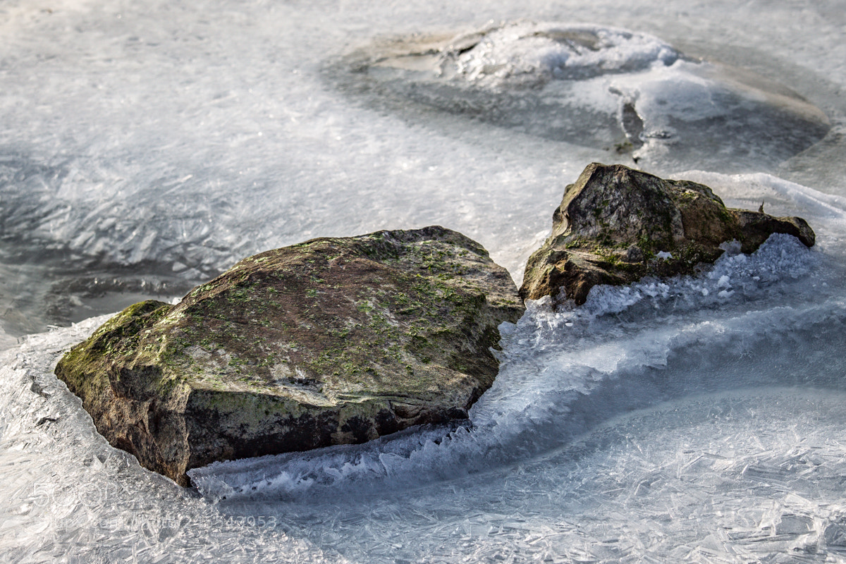 Canon EOS-1D Mark IV sample photo. Frozen photography