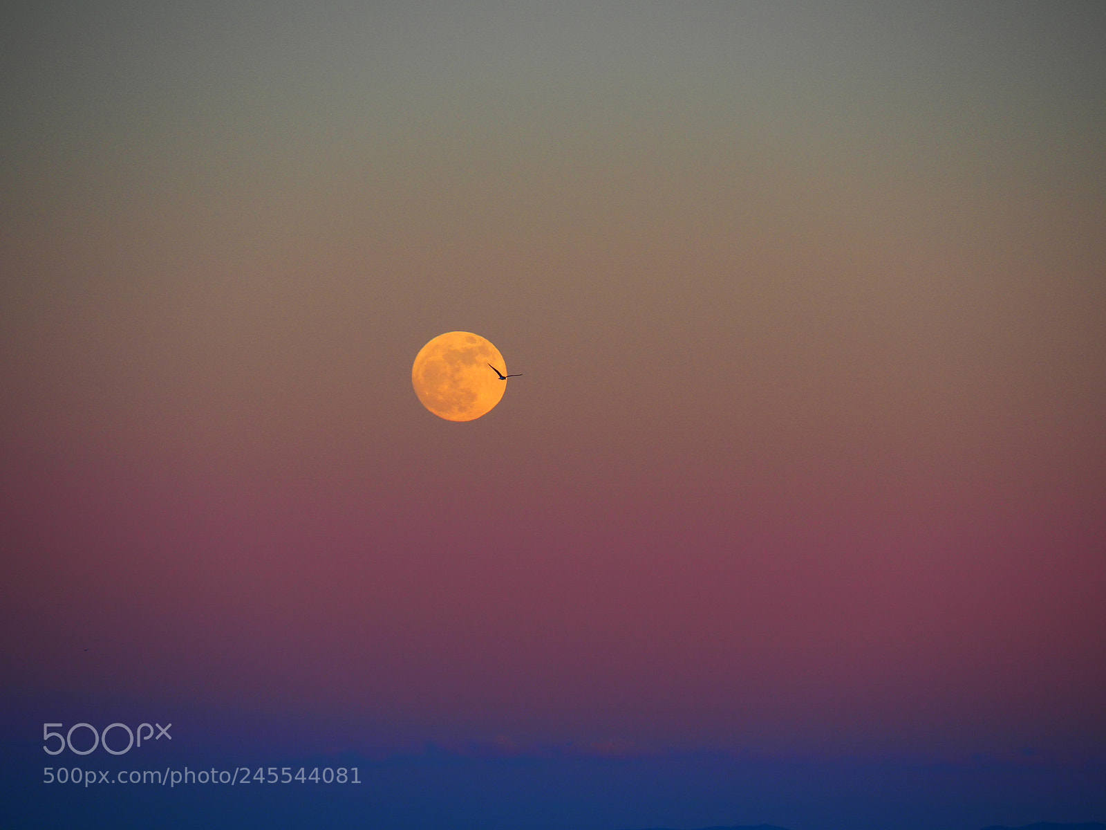 Olympus OM-D E-M10 III sample photo. Full moon photography