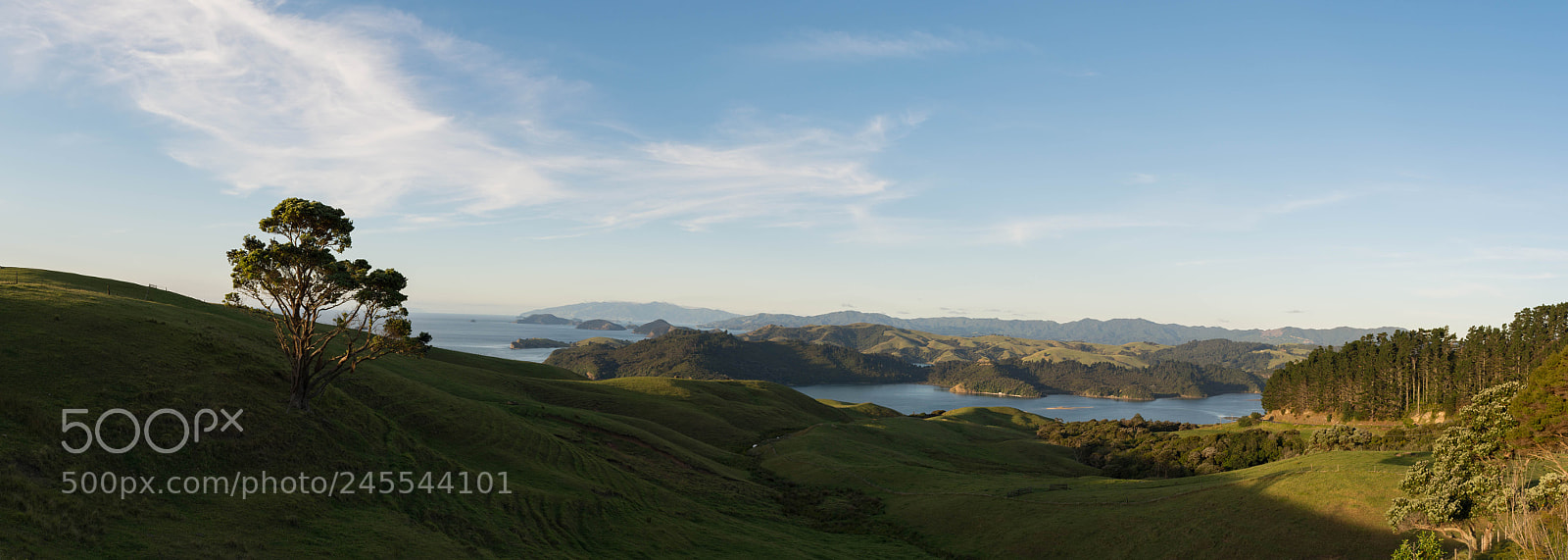 Nikon D5200 sample photo. Nz - when the photography