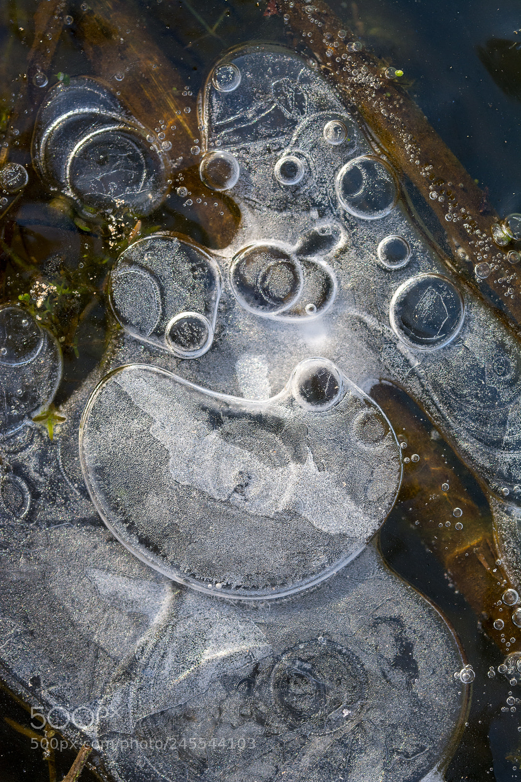 Nikon D7100 sample photo. Bubbles in ice photography