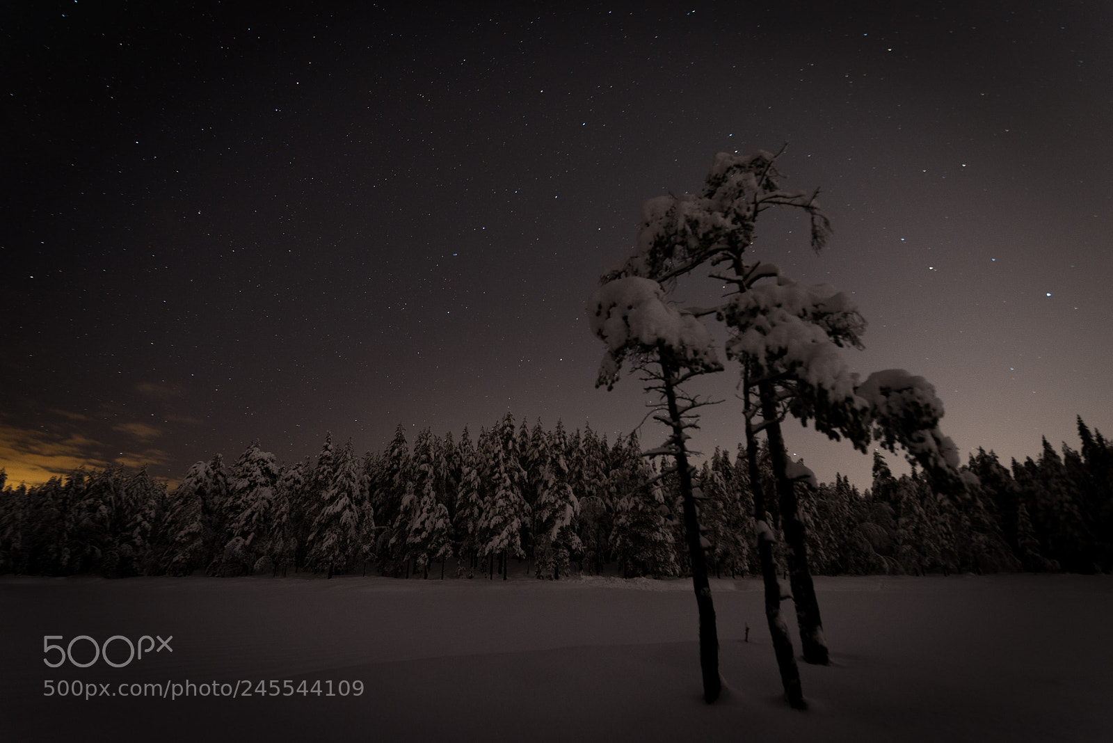Pentax K-1 sample photo. Winter and stars. photography