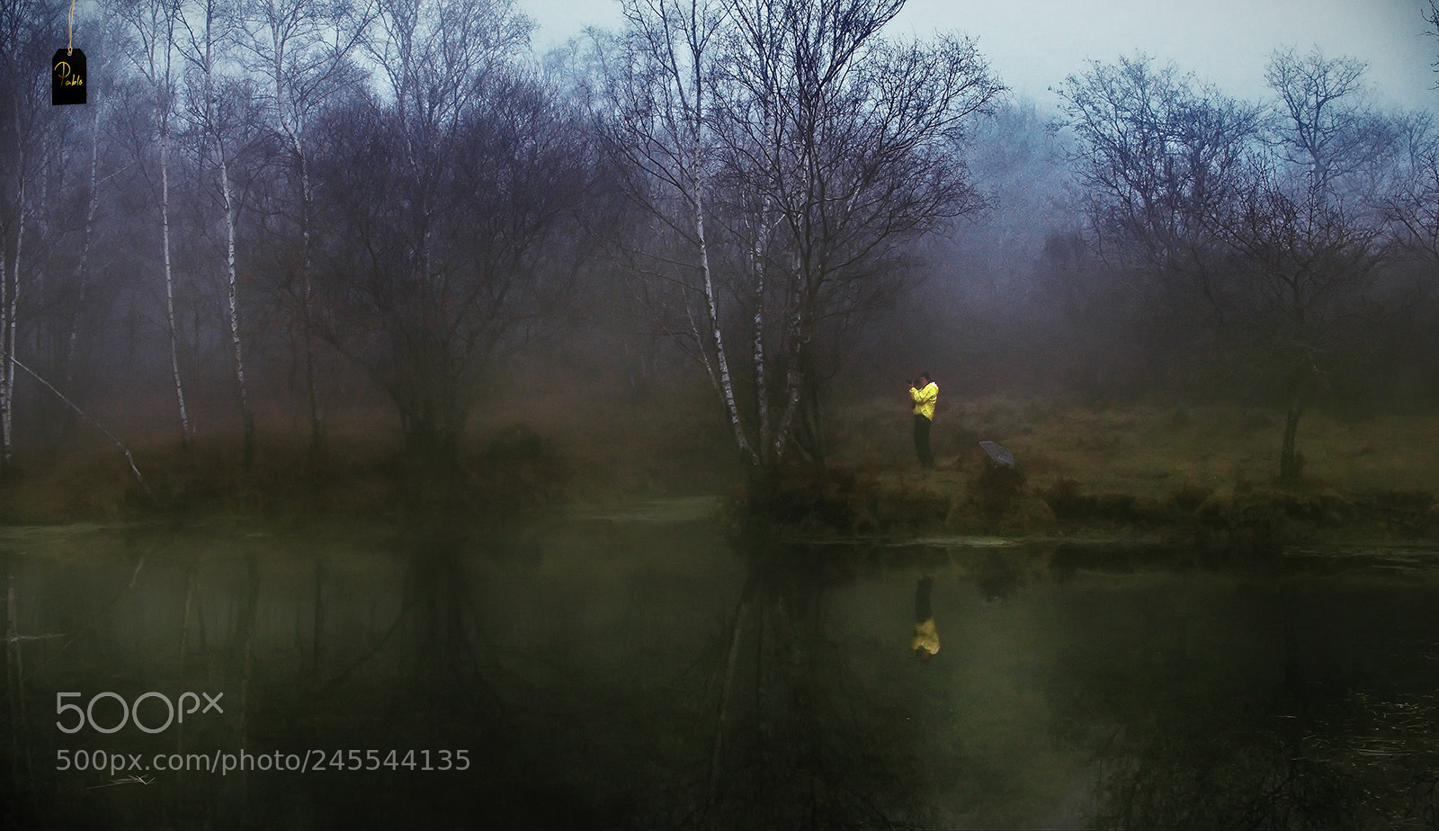 Panasonic Lumix DMC-FZ1000 sample photo. *misty lagoon*.... photography