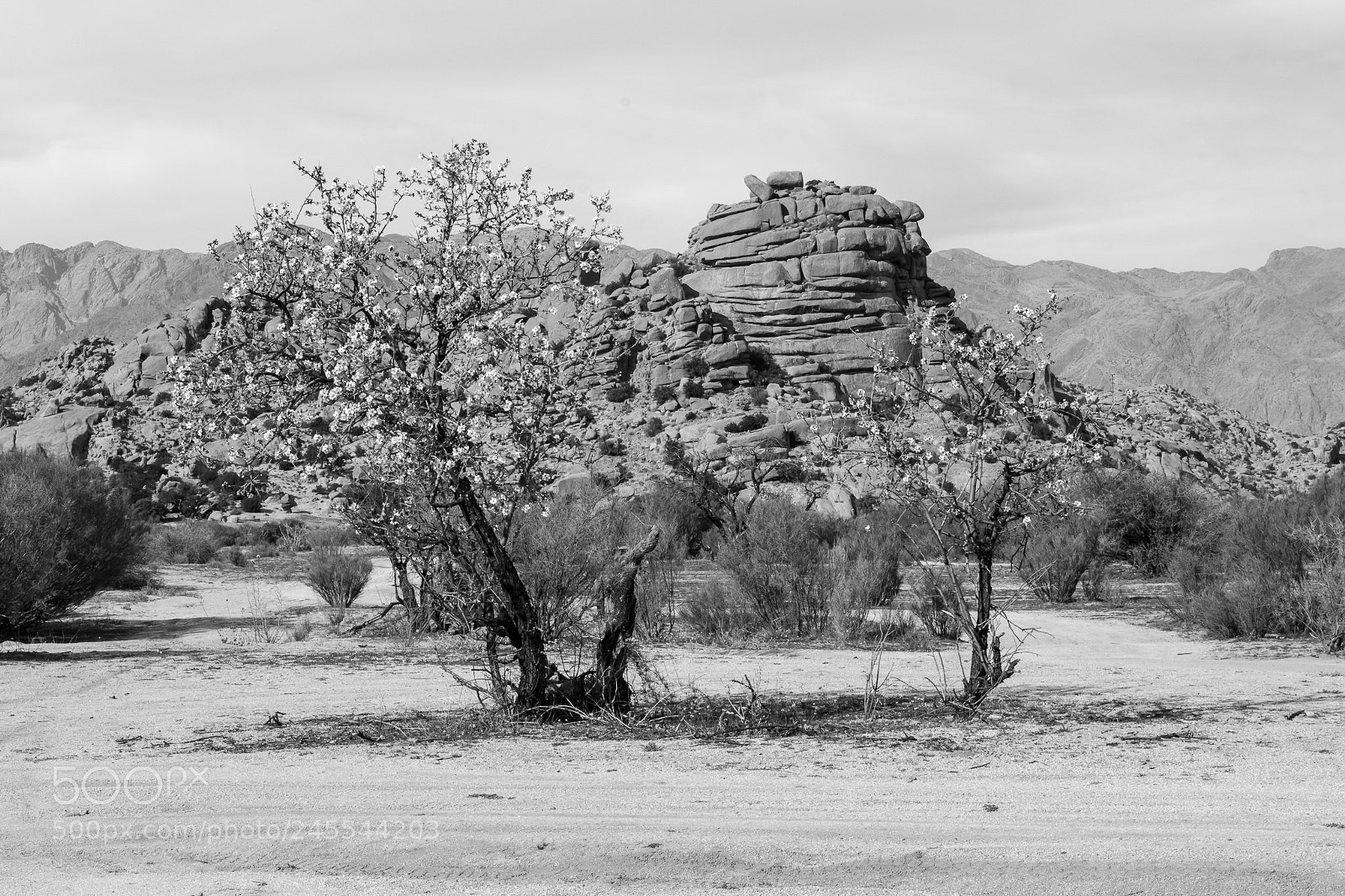 Nikon D5200 sample photo. Napoleon, tafraoute, marruecos. photography