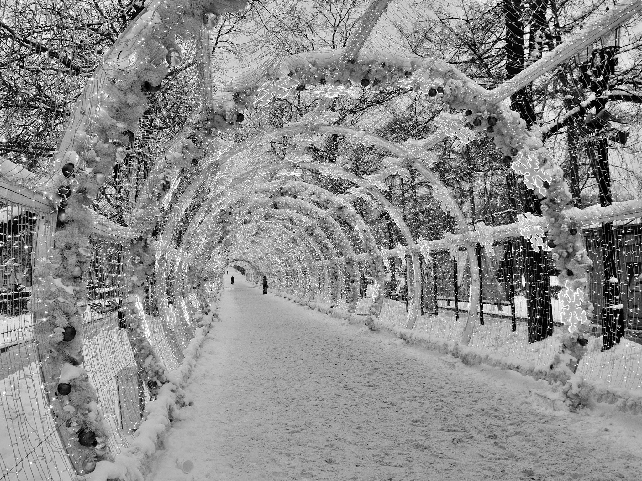 Nikon D5000 sample photo. Garland’s alley photography