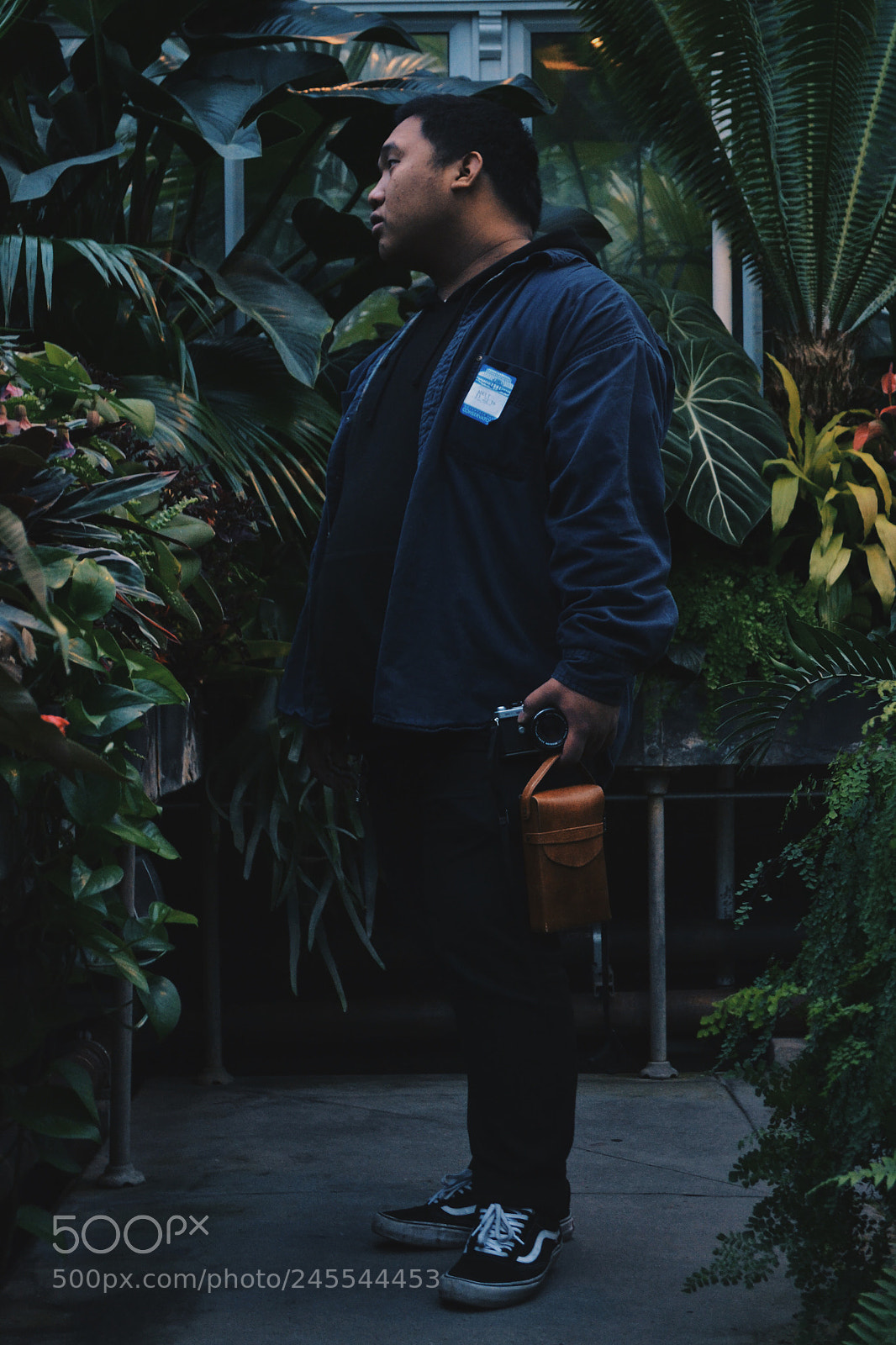 Nikon D3100 sample photo. Charles photography