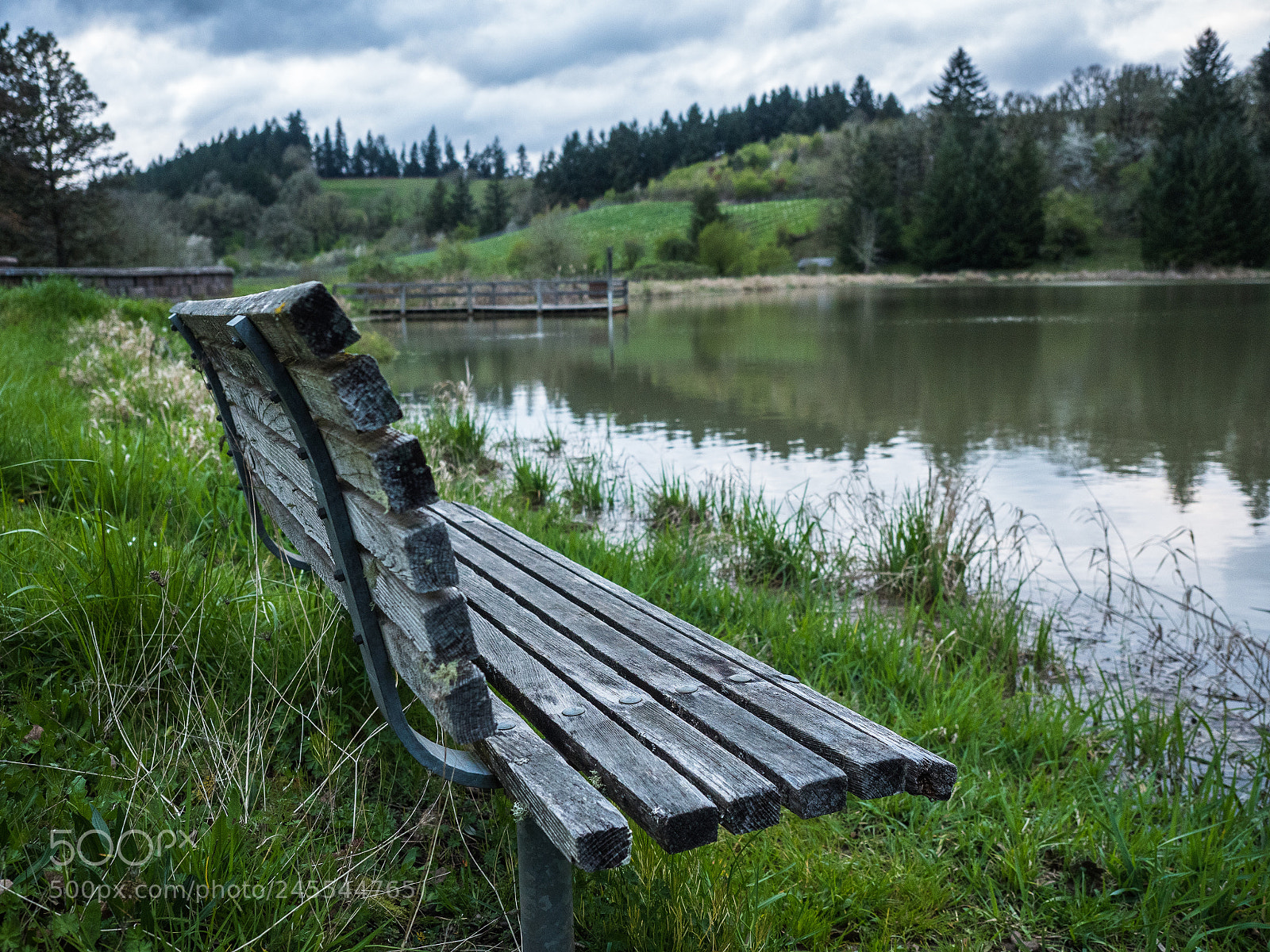 Olympus OM-D E-M5 II sample photo. Abandoned lake photography