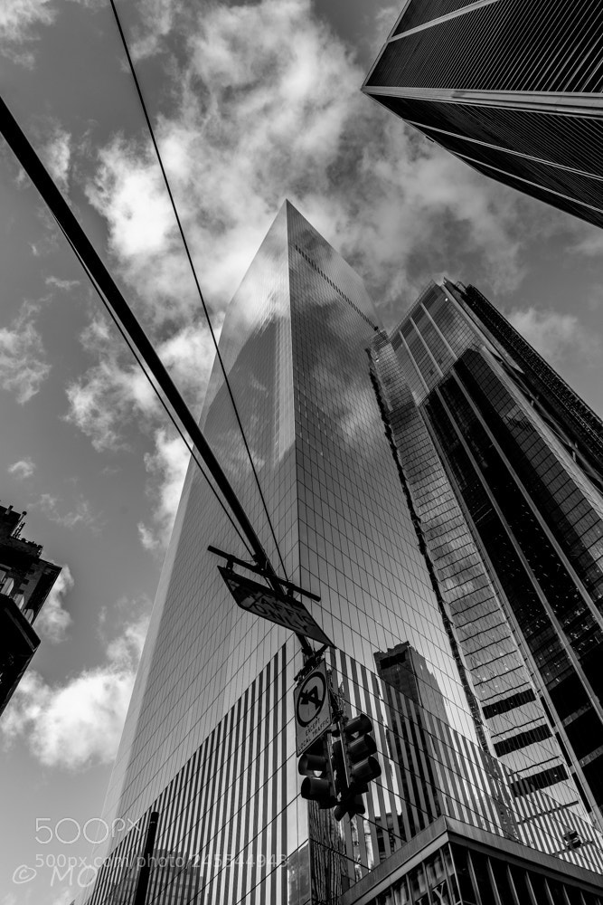 Nikon D800 sample photo. Looking up photography