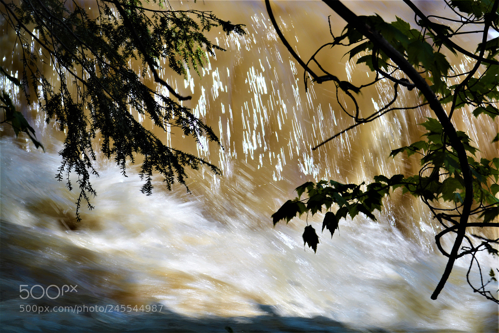 Nikon D5200 sample photo. Mr. water photography
