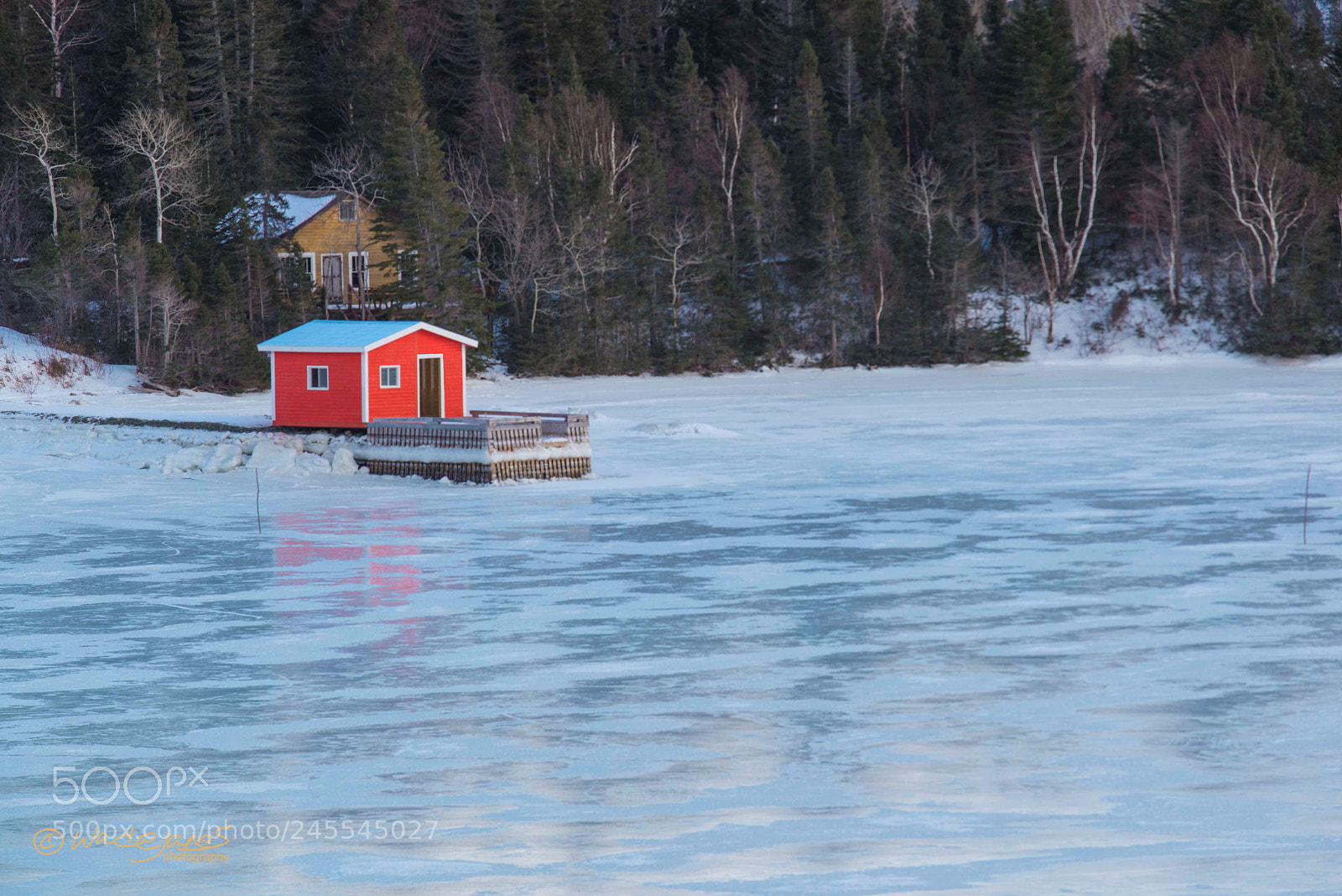 Nikon D800 sample photo. "on frozen bay" photography