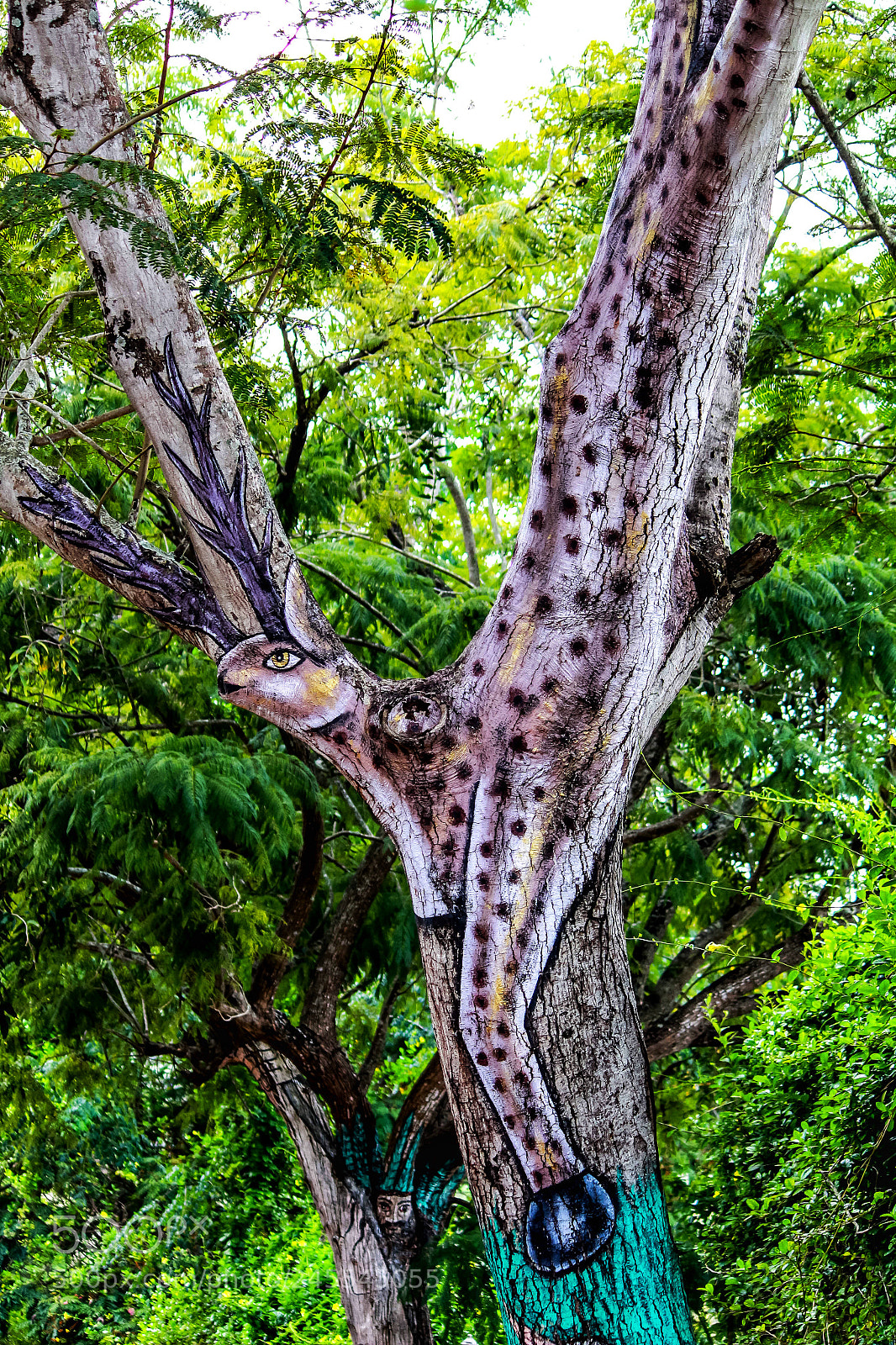 Canon EOS 700D (EOS Rebel T5i / EOS Kiss X7i) sample photo. Painted tree photography