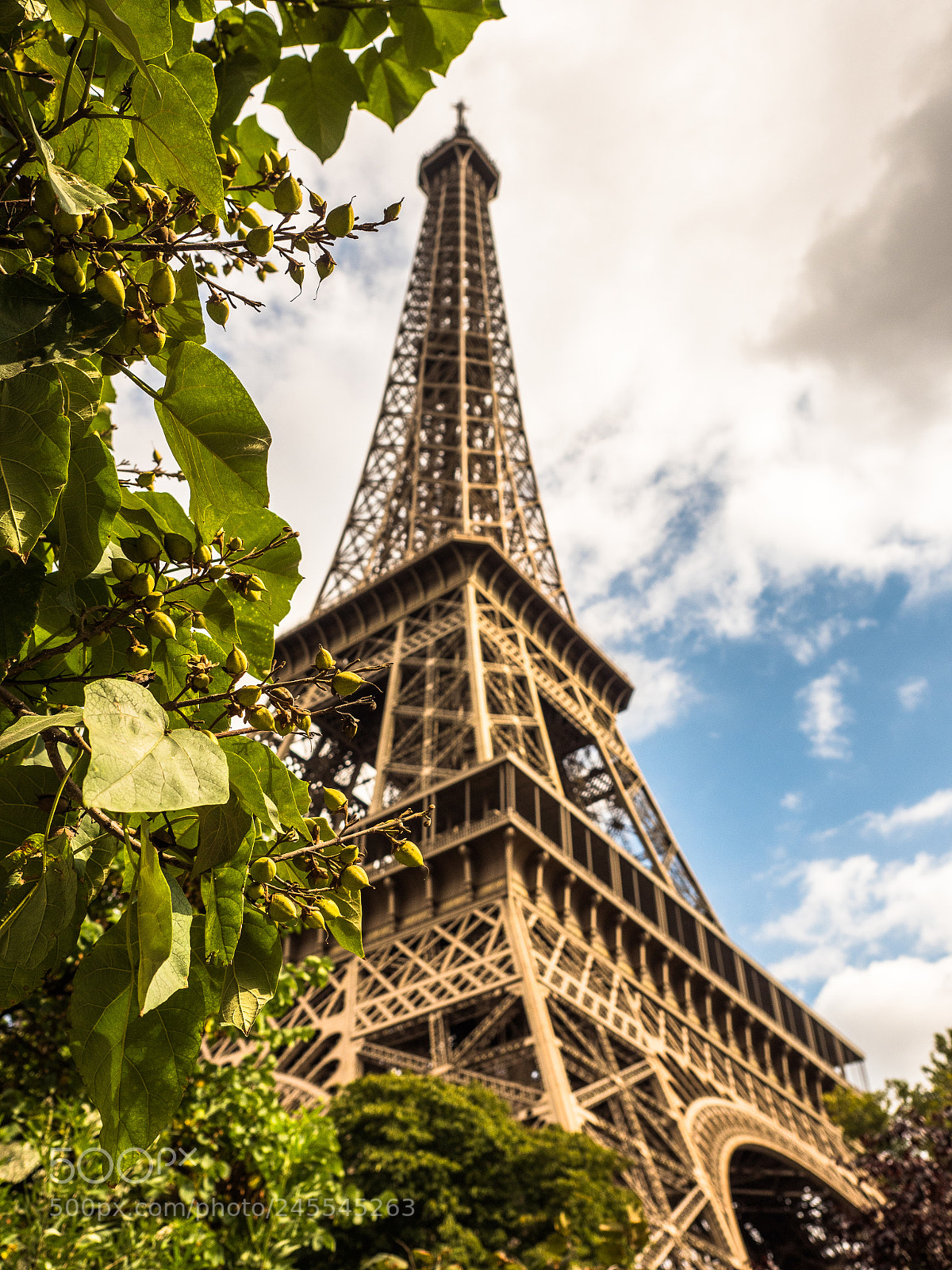 Olympus OM-D E-M5 II sample photo. Fall eifel photography