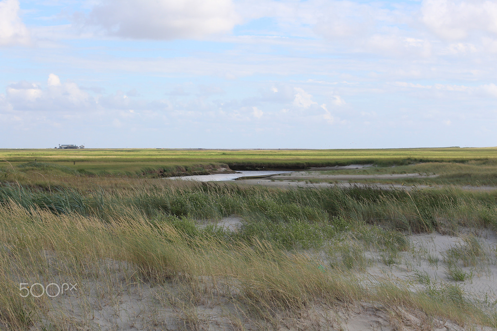 Canon EOS 700D (EOS Rebel T5i / EOS Kiss X7i) + Canon EF 50mm F1.4 USM sample photo. Paesaggio rurale sankt peter in ording photography