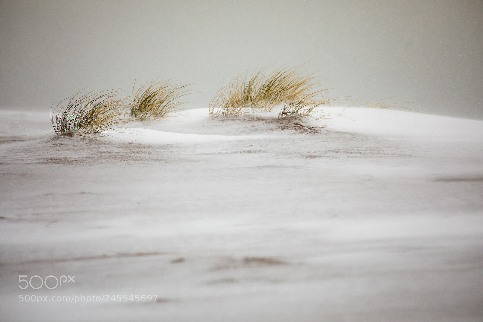 Canon EOS 5D Mark IV sample photo. Snow in the dunes photography