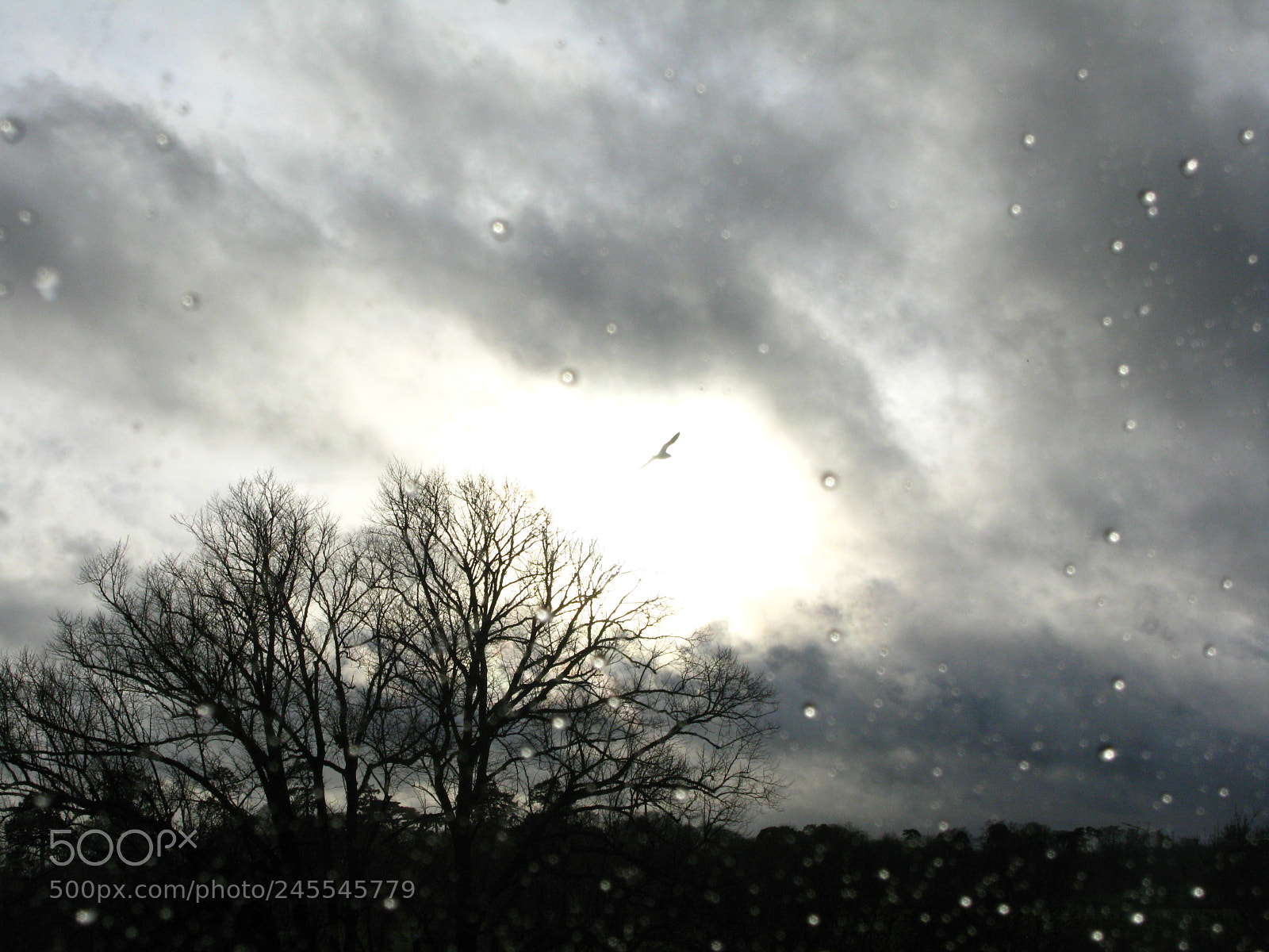 Canon POWERSHOT G9 sample photo. Before the storm photography