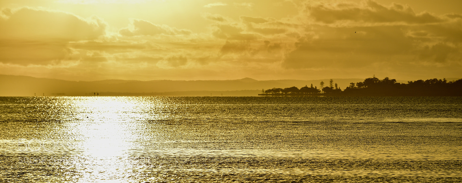 Nikon D810 sample photo. Wellington point photography