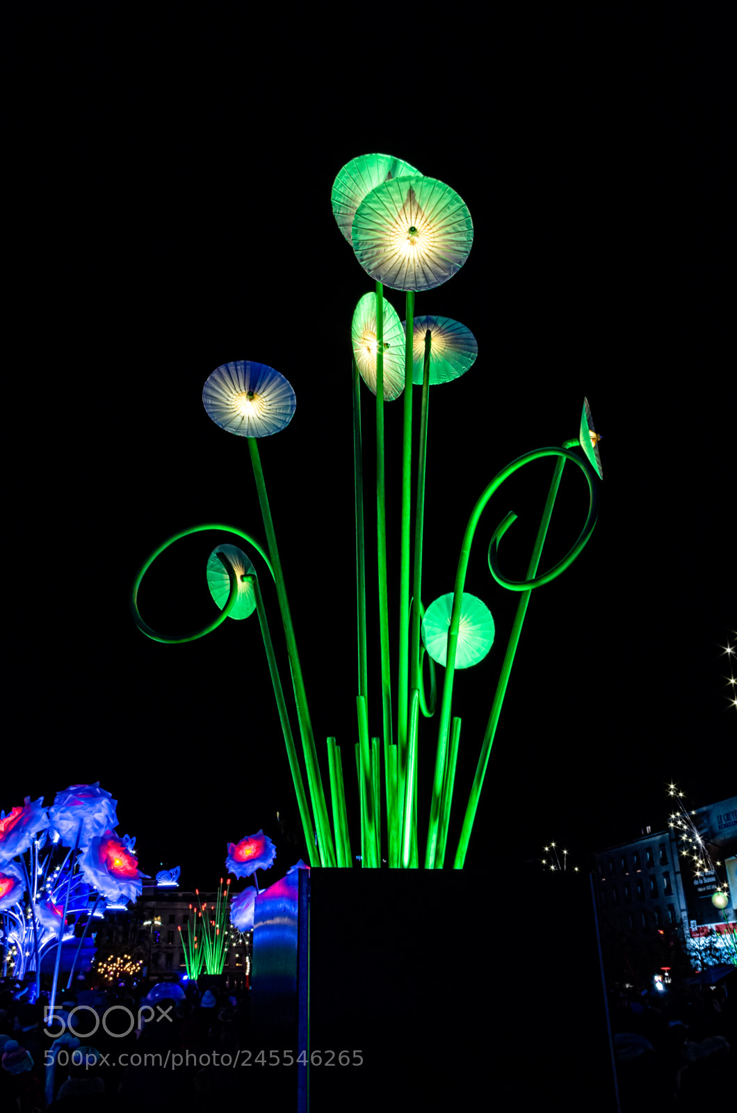 Pentax K-30 sample photo. Lyon light fest 2017 photography