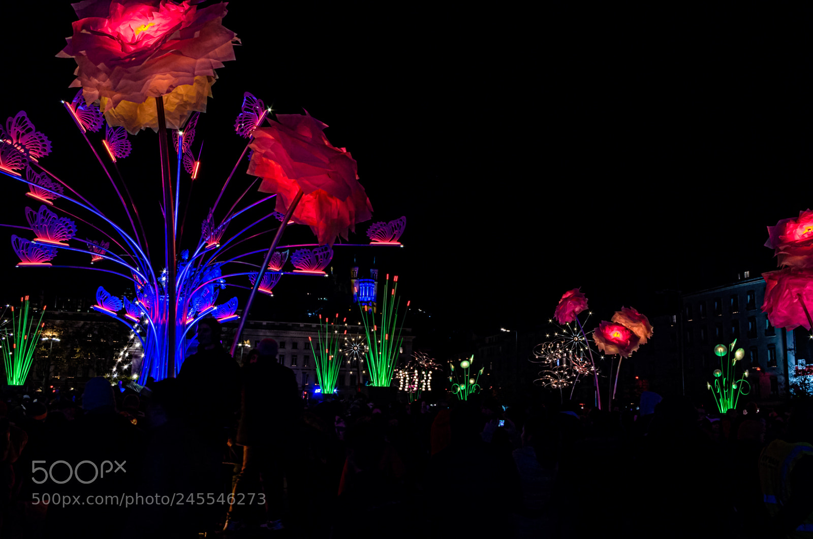 Pentax K-30 sample photo. Lyon light fest 2017 photography