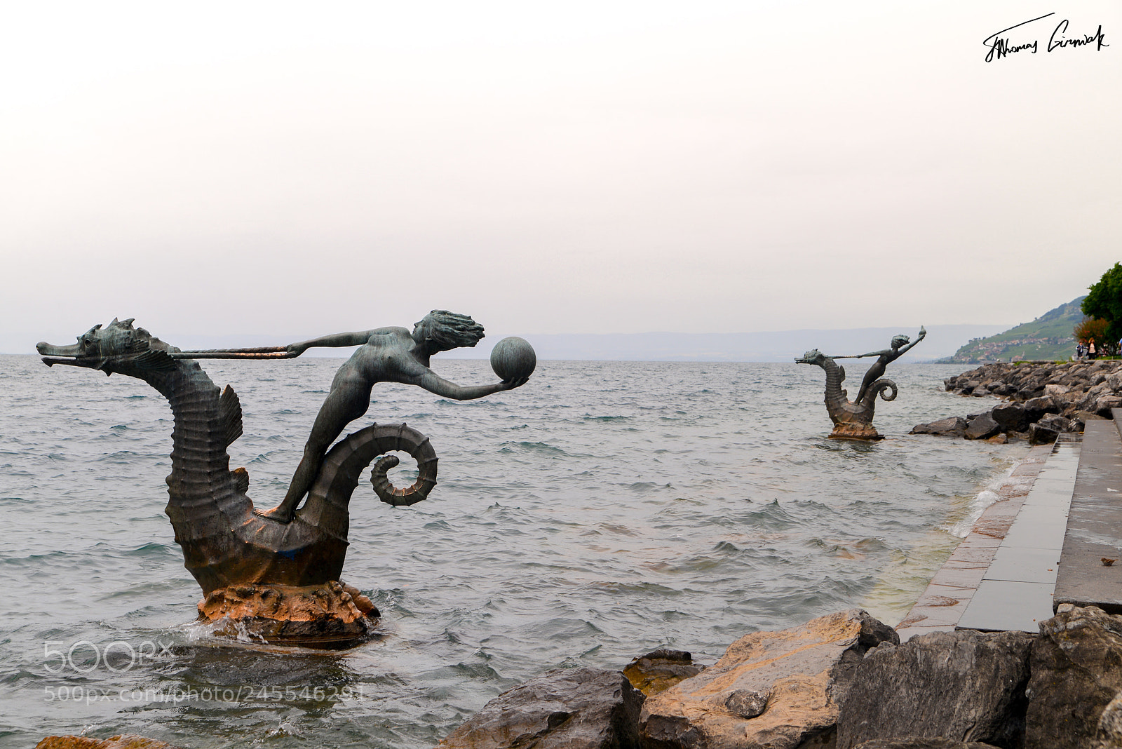 Nikon D600 sample photo. Seahorse riders photography