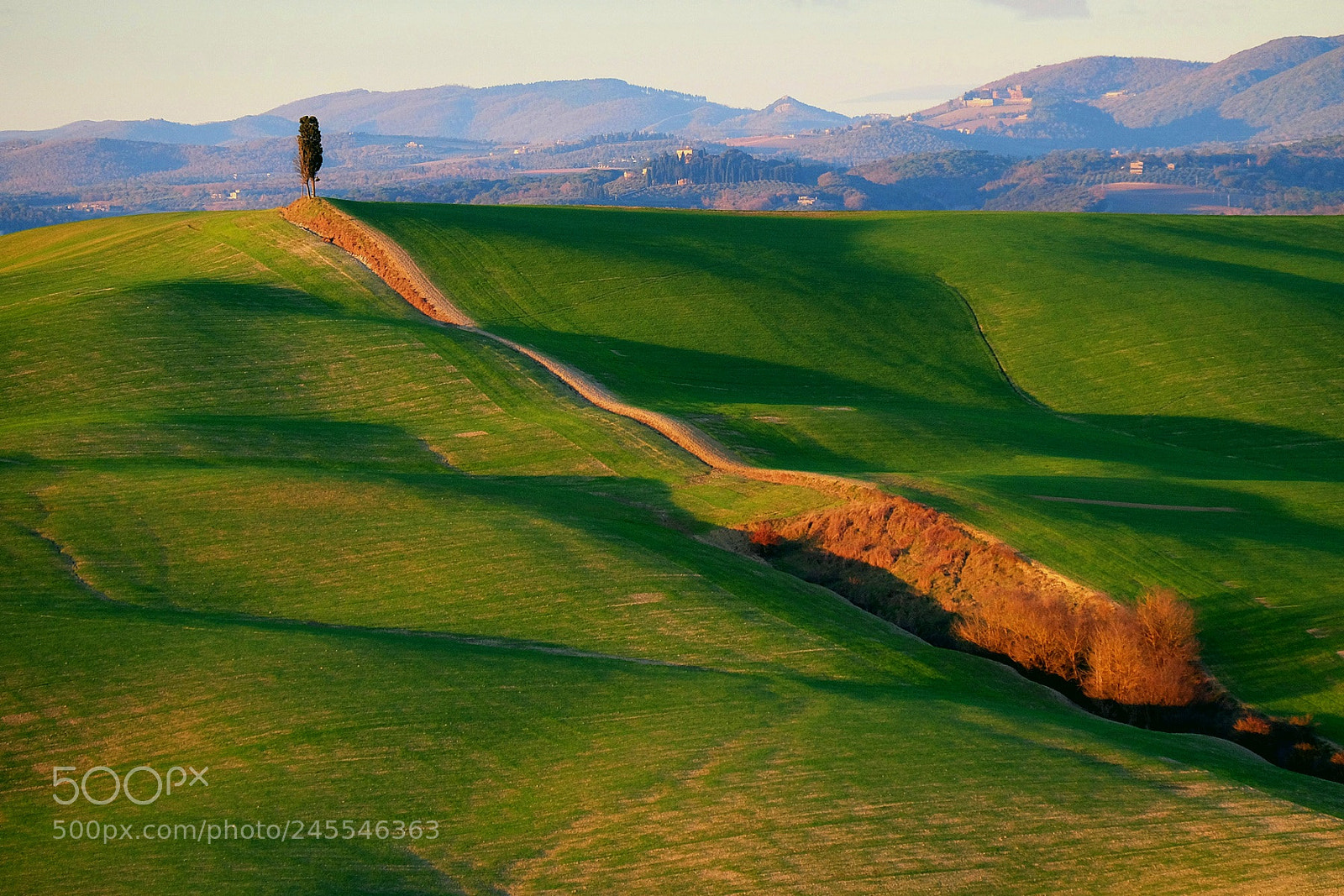 Fujifilm X-M1 sample photo. Fields at sunset photography