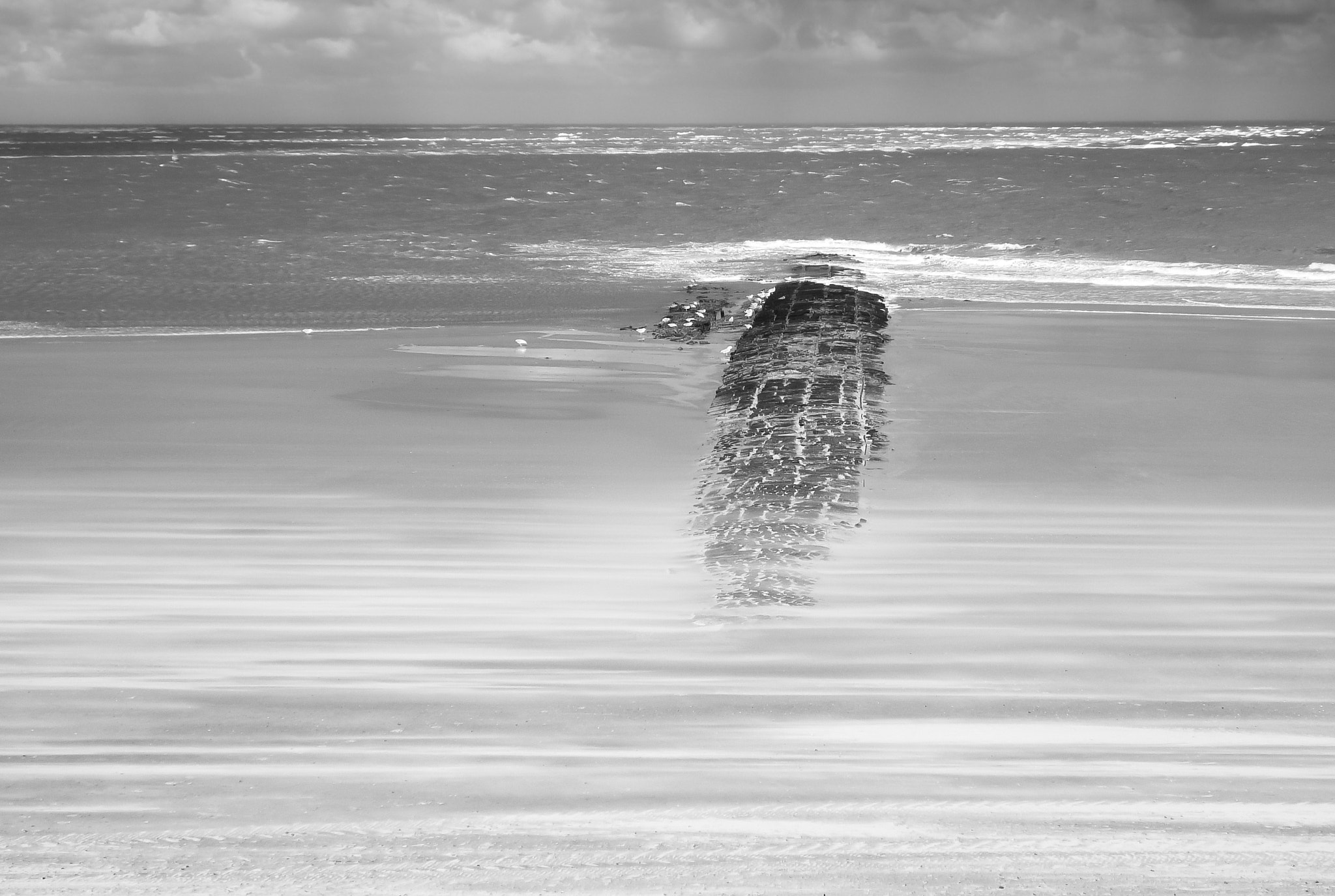 Panasonic DMC-FS7 sample photo. Sandseastorm photography