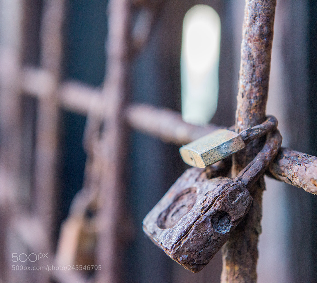 Nikon D610 sample photo. Lucchicoppia photography
