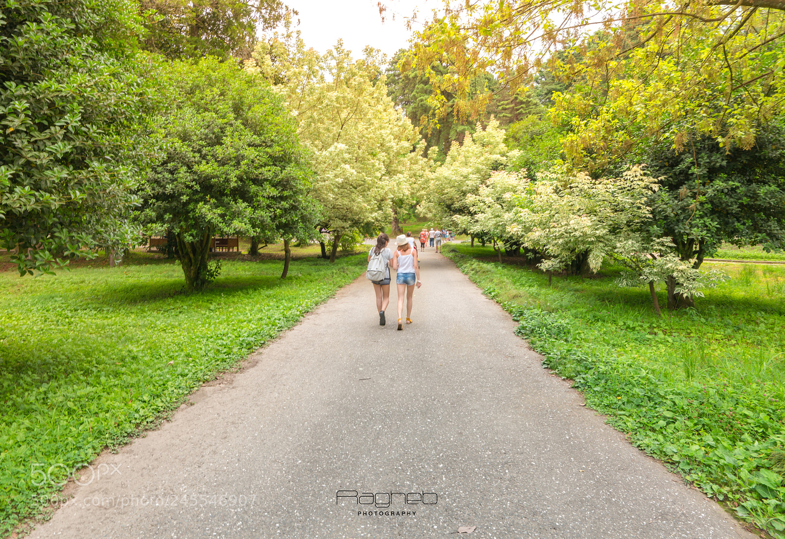 Sony a7R II sample photo. Travel photography