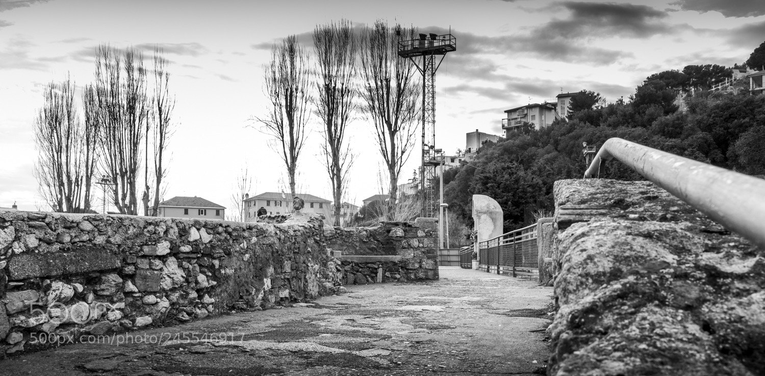 Canon EOS 750D (EOS Rebel T6i / EOS Kiss X8i) sample photo. Bridge over the river photography