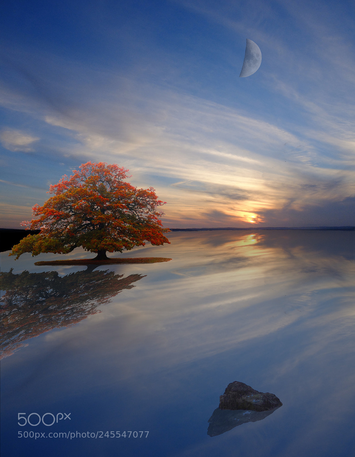 Fujifilm X20 sample photo. Fantasy landscape photography