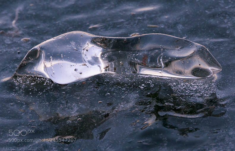 Nikon D300S sample photo. Ice on ice photography