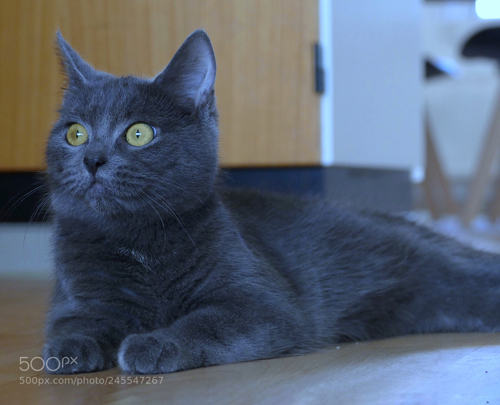 Panasonic Lumix DMC-FZ1000 sample photo. Blue relaxing photography