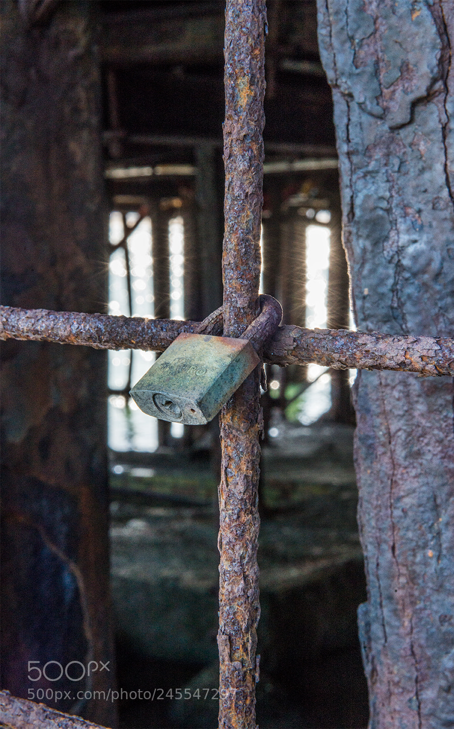 Nikon D610 sample photo. Lucchetto photography