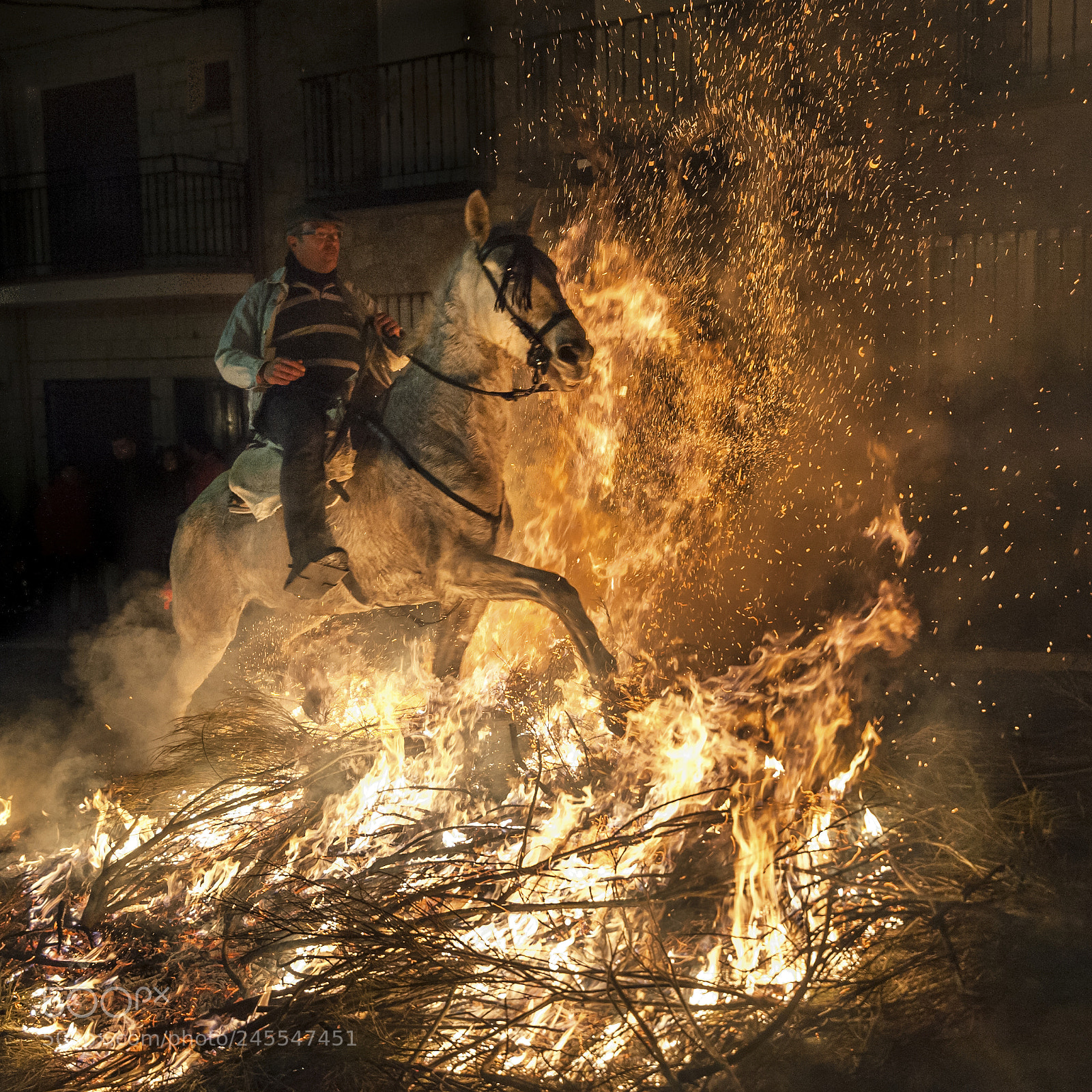 Nikon D700 sample photo. Luminarias photography