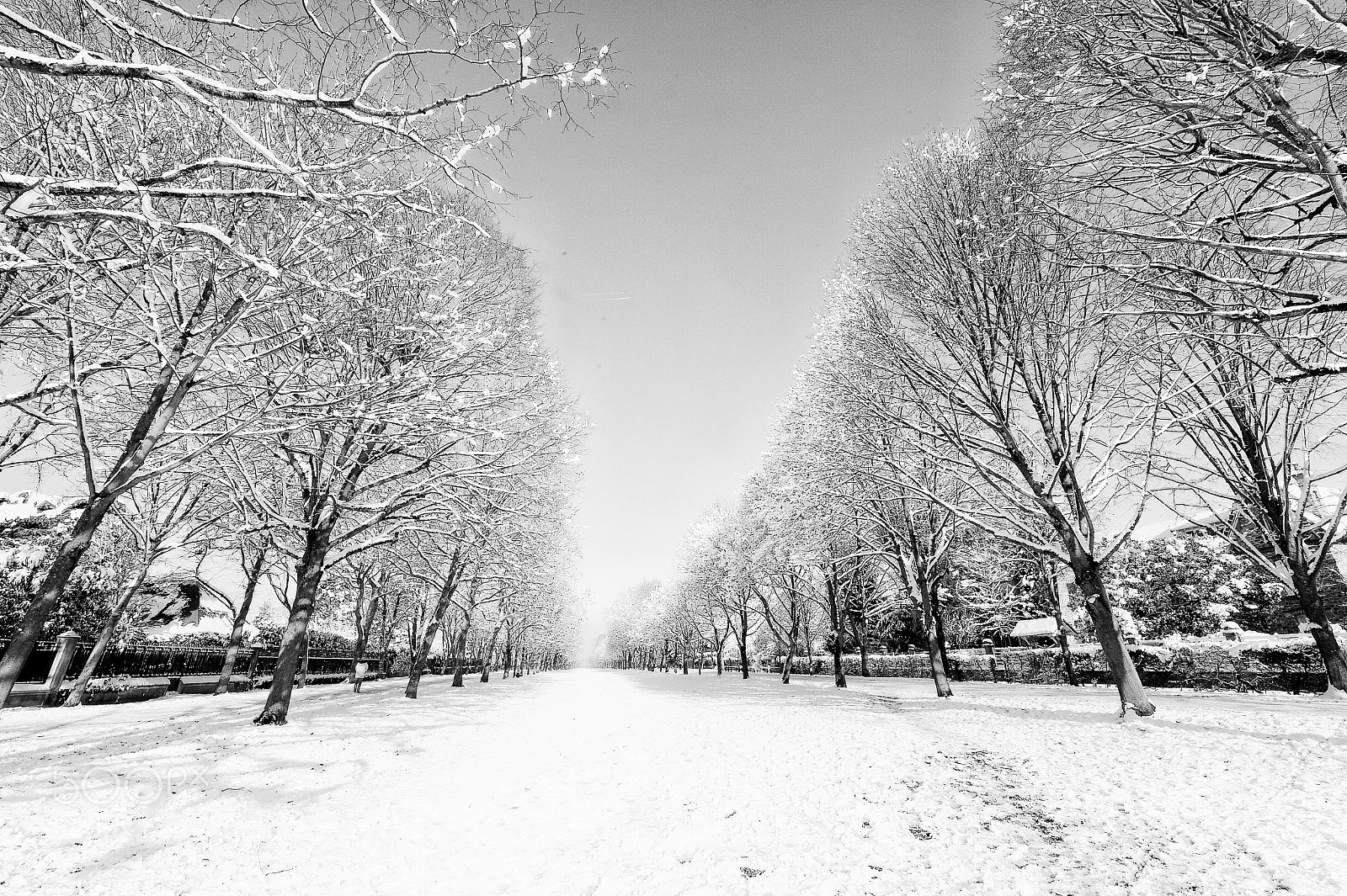 Nikon Df sample photo. Perspective hivernale photography