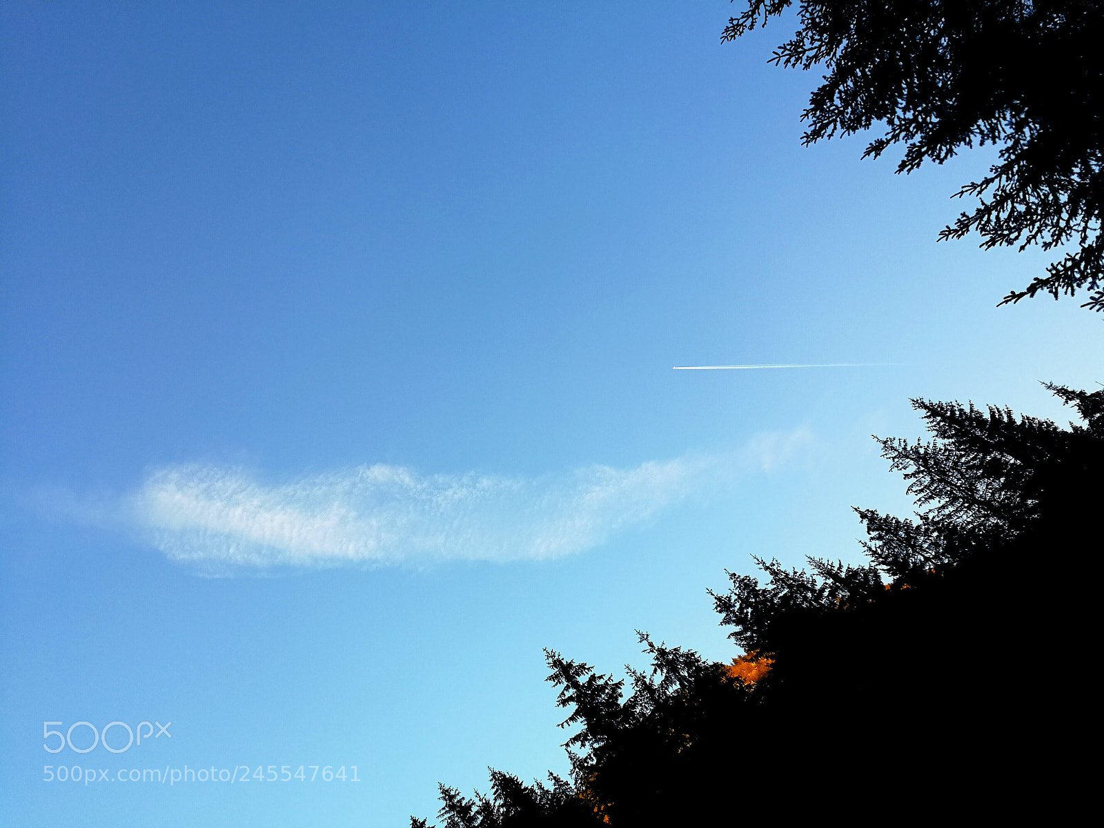 HUAWEI P10 sample photo. Blue sky photography