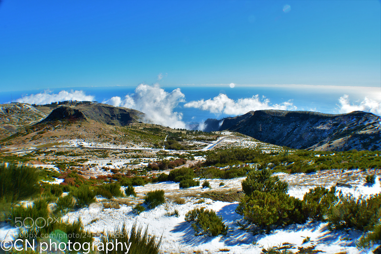Nikon D5200 sample photo. Untitled photography