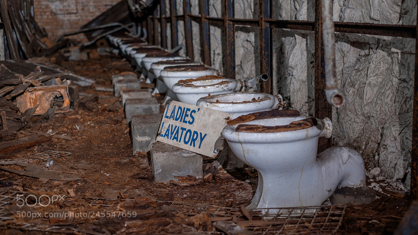 Fujifilm X-T1 sample photo. Ladies lavatory photography