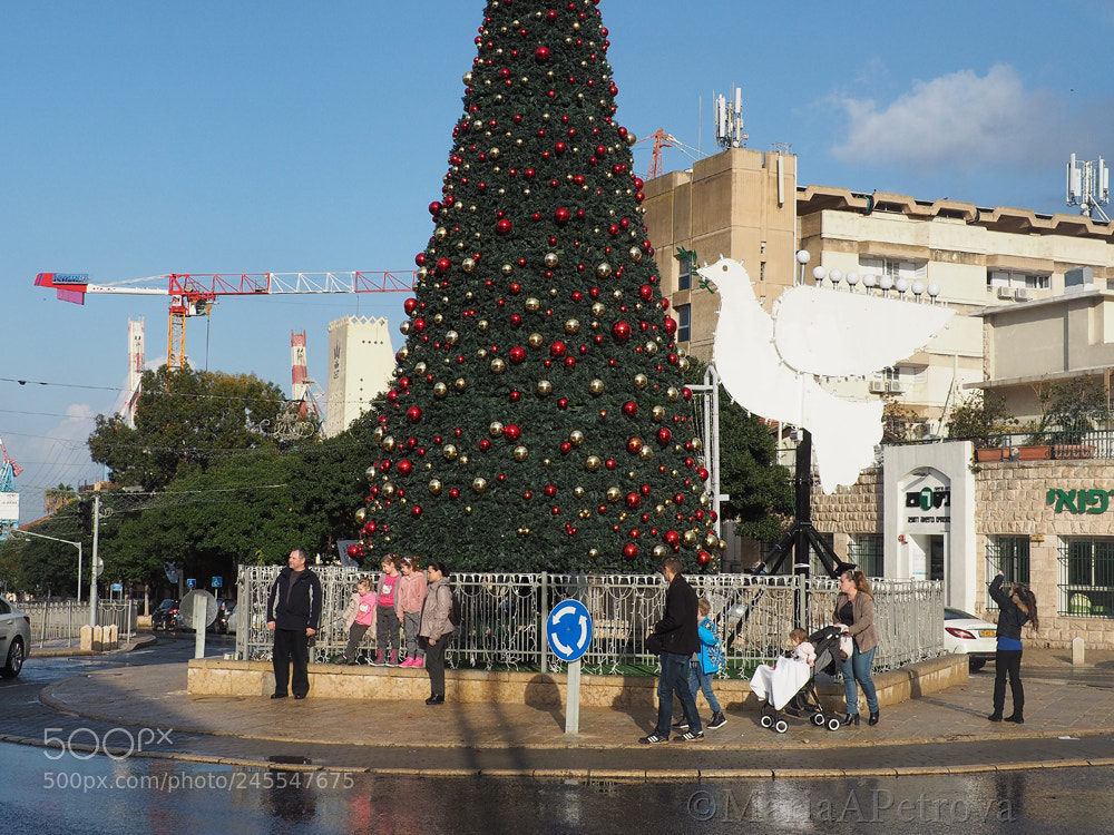 Olympus OM-D E-M5 II sample photo. New year in haifa photography