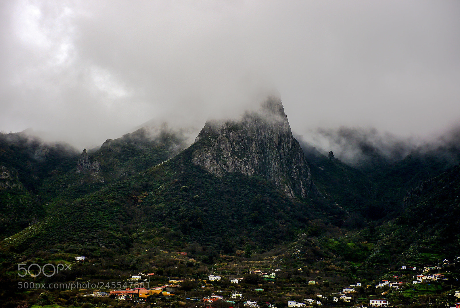 Nikon D7200 sample photo. Niebla photography