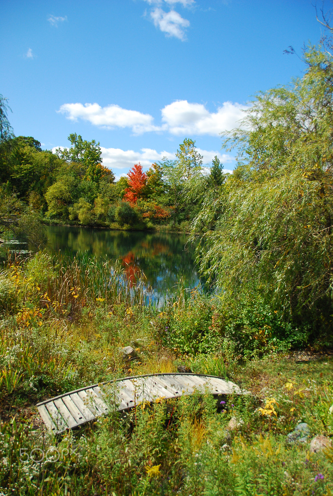 Nikon D80 sample photo. The short bridge photography