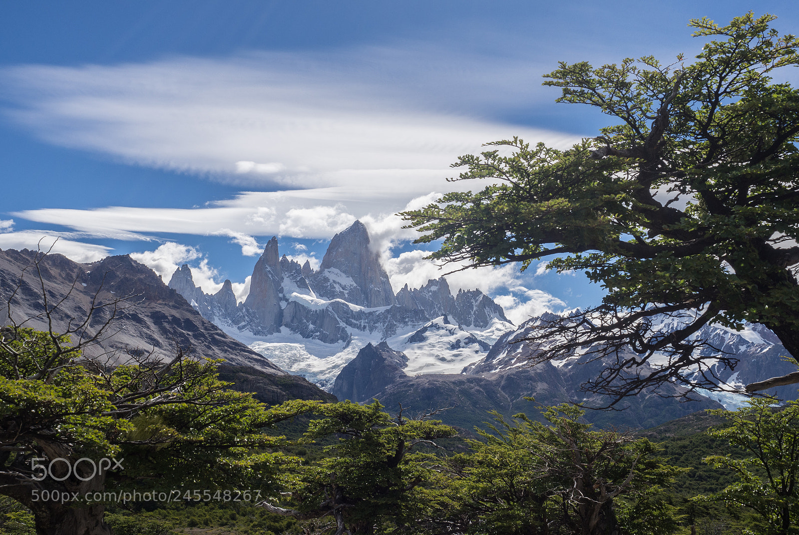 Olympus OM-D E-M10 II sample photo. Fitz roy photography