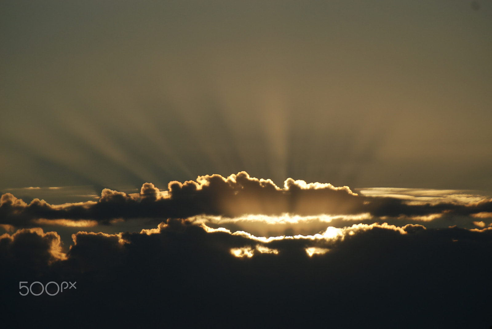 Nikon D80 sample photo. Glory in its rising photography