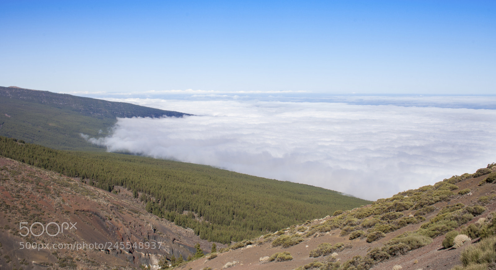 Canon EOS 1000D (EOS Digital Rebel XS / EOS Kiss F) sample photo. Misty island photography