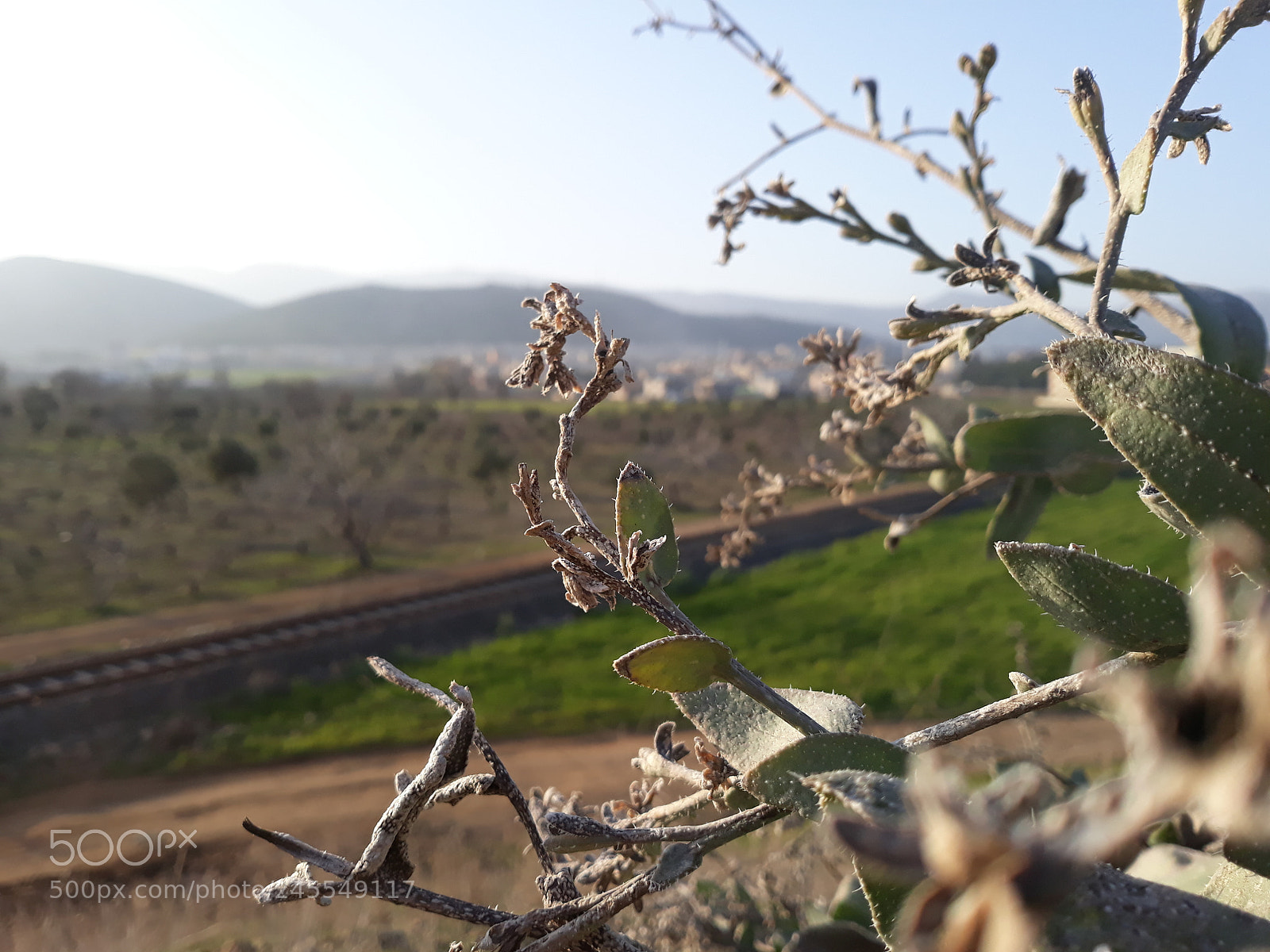 Samsung Galaxy J7 sample photo. Untitled photography