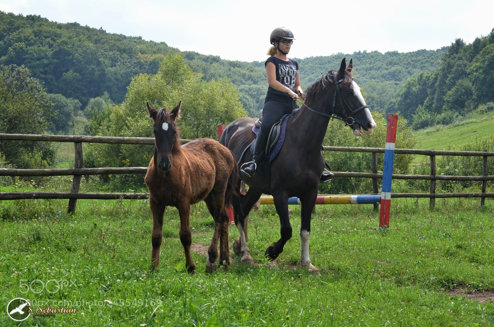 Nikon D5100 sample photo. Horseback riding photography