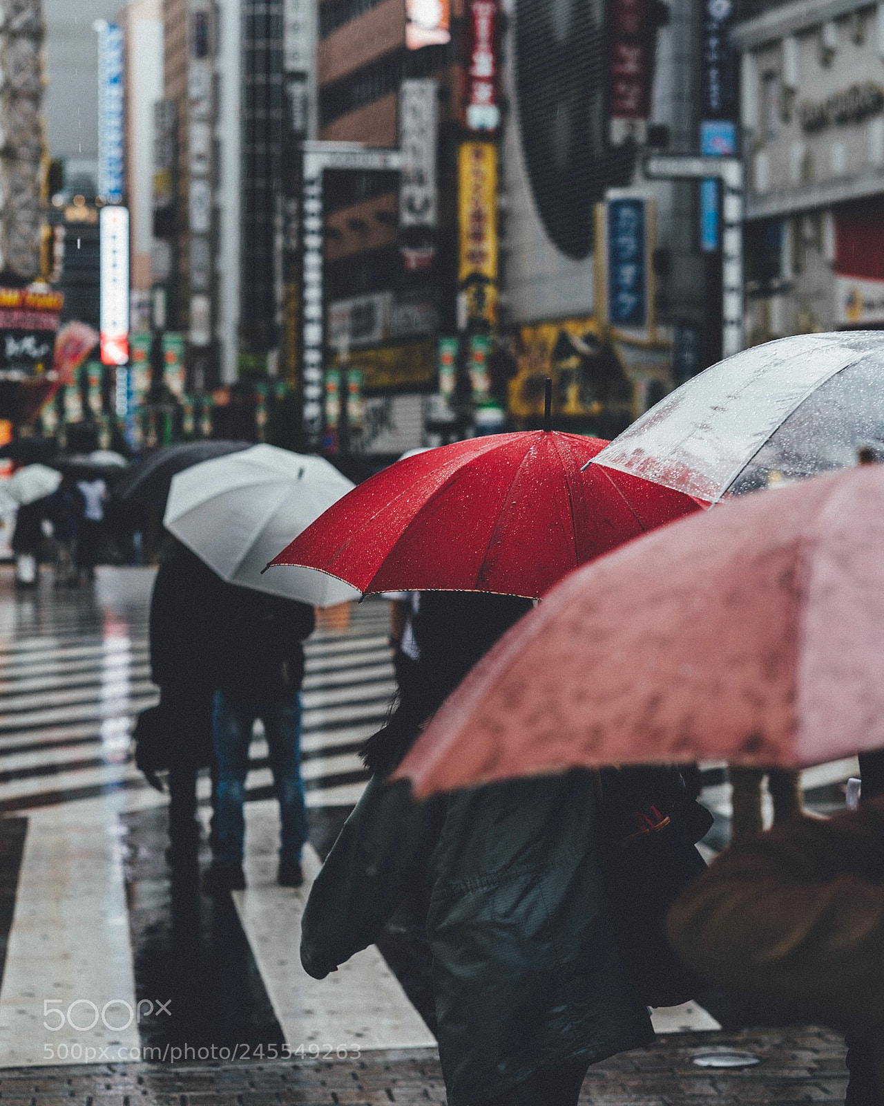 Sony a7R II sample photo. Rainyday. photography
