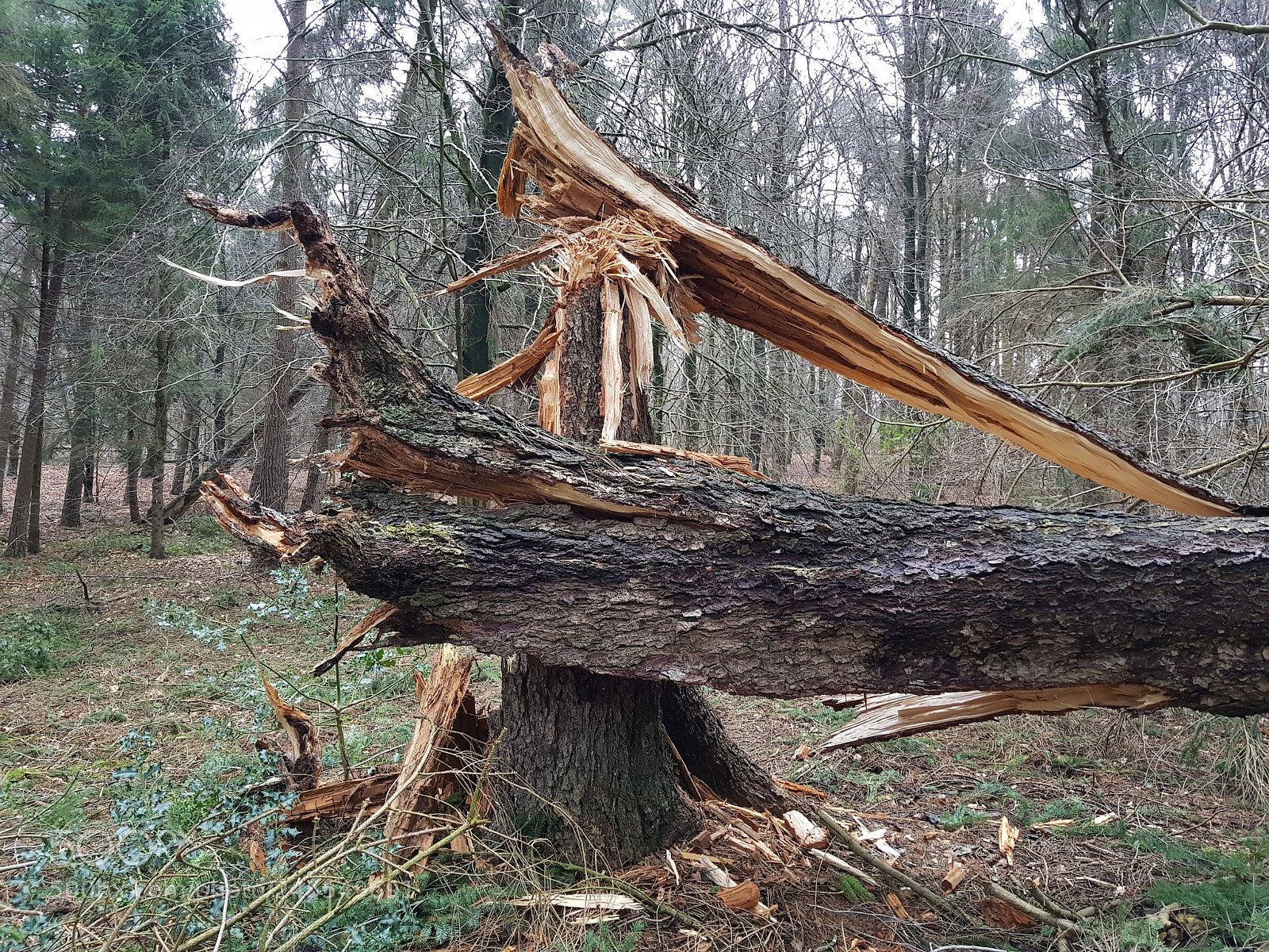 Samsung Galaxy S8+ sample photo. Storms come and go photography