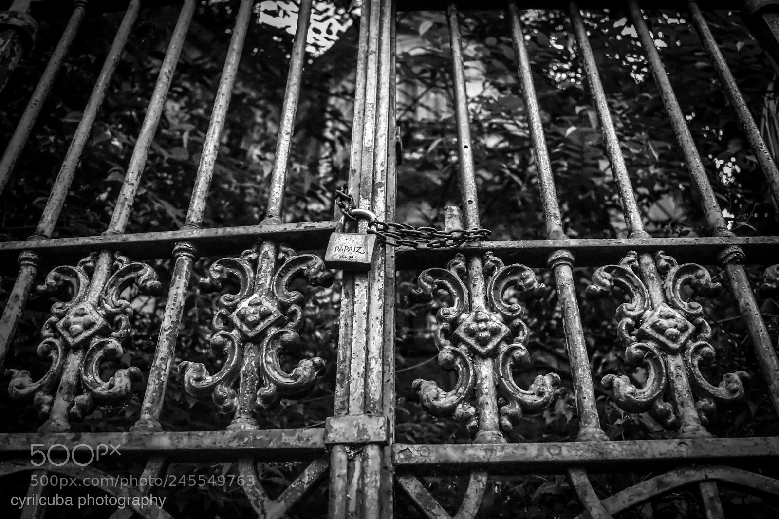Nikon D5500 sample photo. Gate in brazil photography