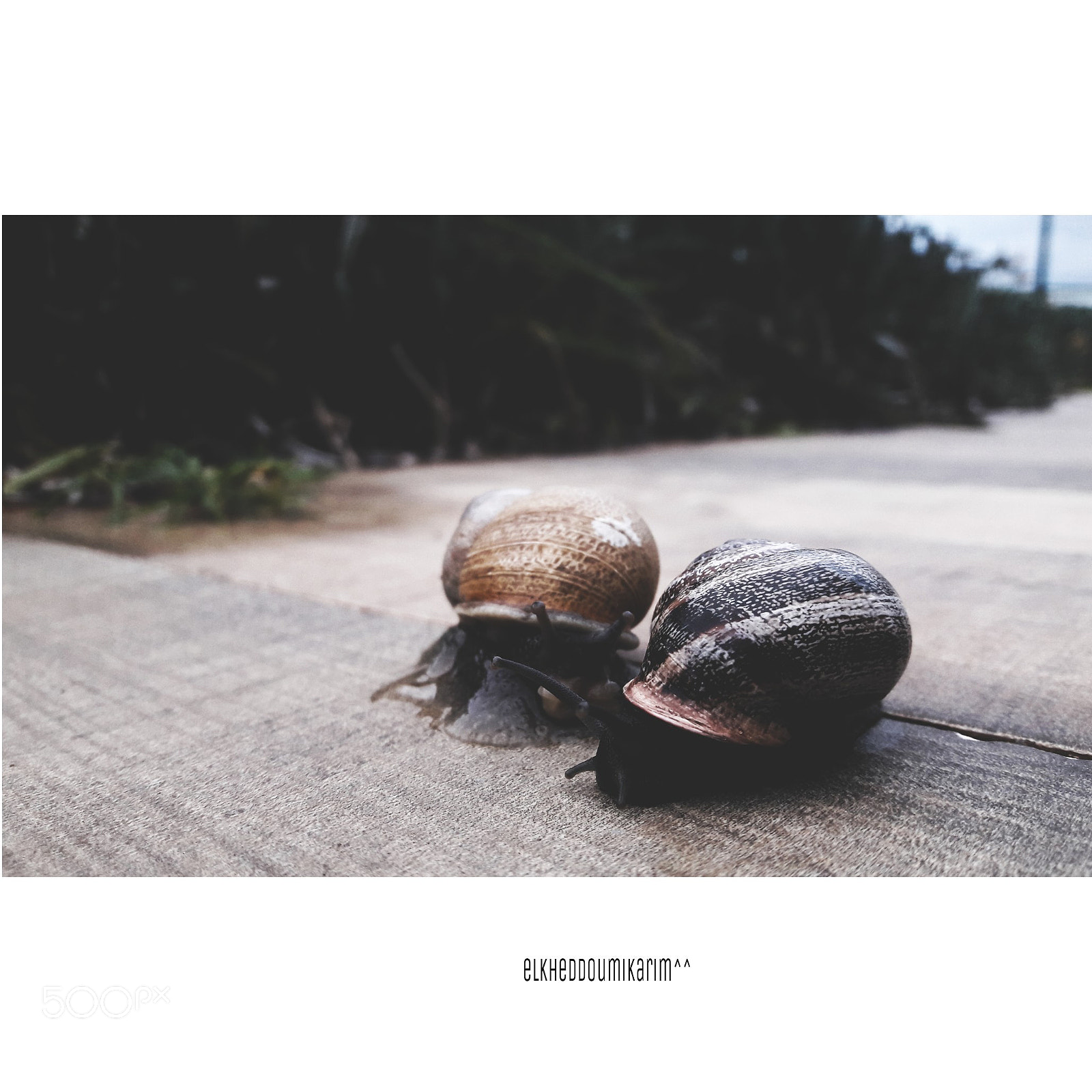 Samsung Galaxy A5(2016) sample photo. Untitled photography